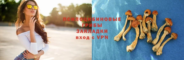 соль ск Новозыбков