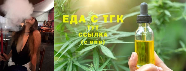 соль ск Новозыбков