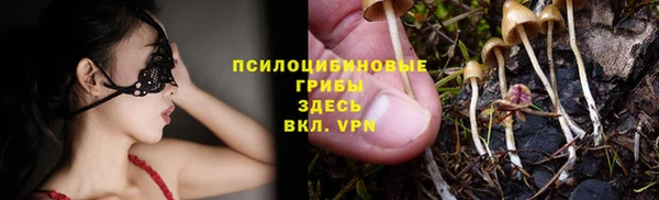 соль ск Новозыбков