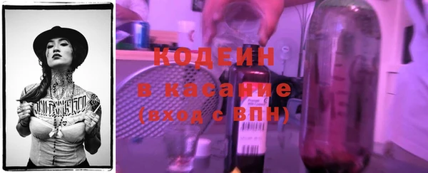 соль ск Новозыбков