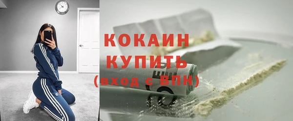 твердый Новодвинск