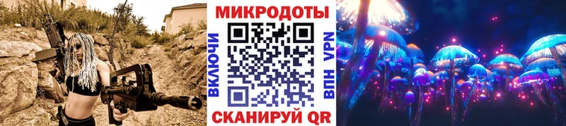 Галлюциногенные грибы Psilocybine cubensis блэк спрут ссылка Пудож