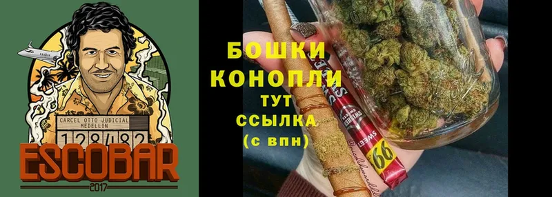 МАРИХУАНА конопля  Пудож 